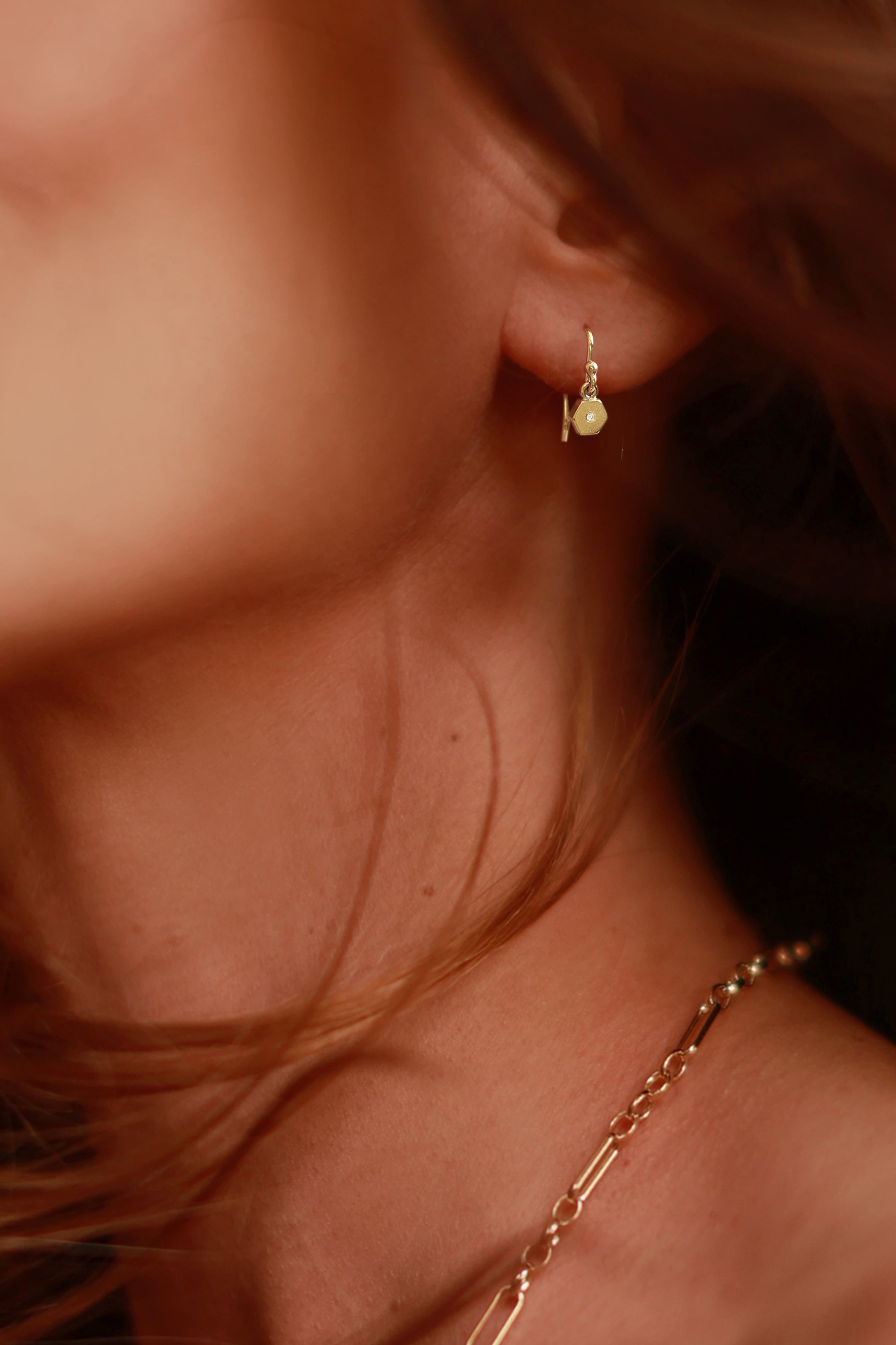 MINI HEX DROP EARRINGS image 1